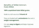 Kodo Millet Grains Organic 500 G - Image 3