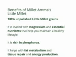Little Millet Organic Grains - 500gm - Image 3