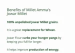 Jowar Millet Grain Organic - 500gm - Image 4