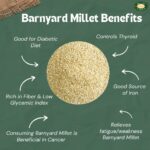 Barnyard Millet Grains Organic - 500gm - Image 5