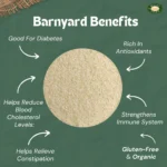 Barnyard Millet (Rava) Organic 500 G - Image 4
