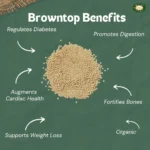 Browntop Millet Grain - 500gm - Image 3